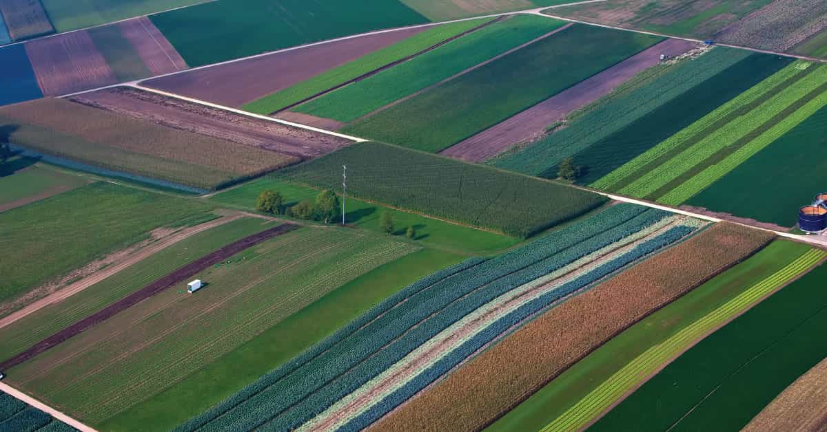 Savjet za poljoprivredu i hranu: Bilo kuda, skandal svuda