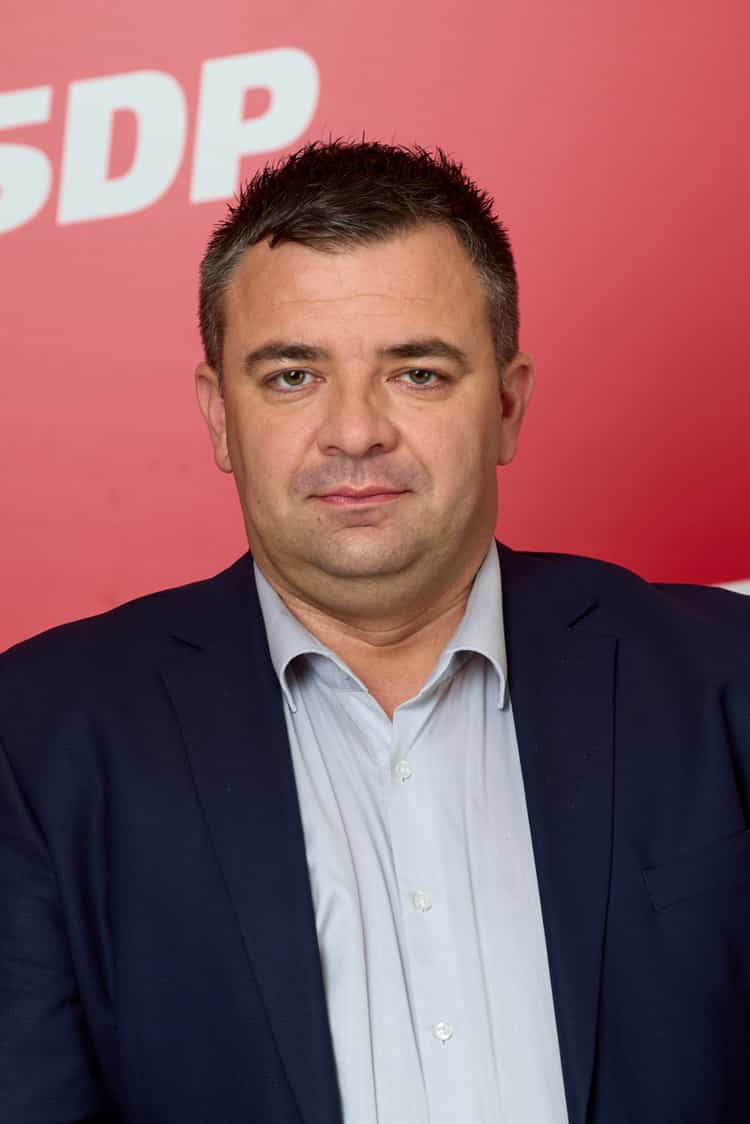 Mario Milinković - slika