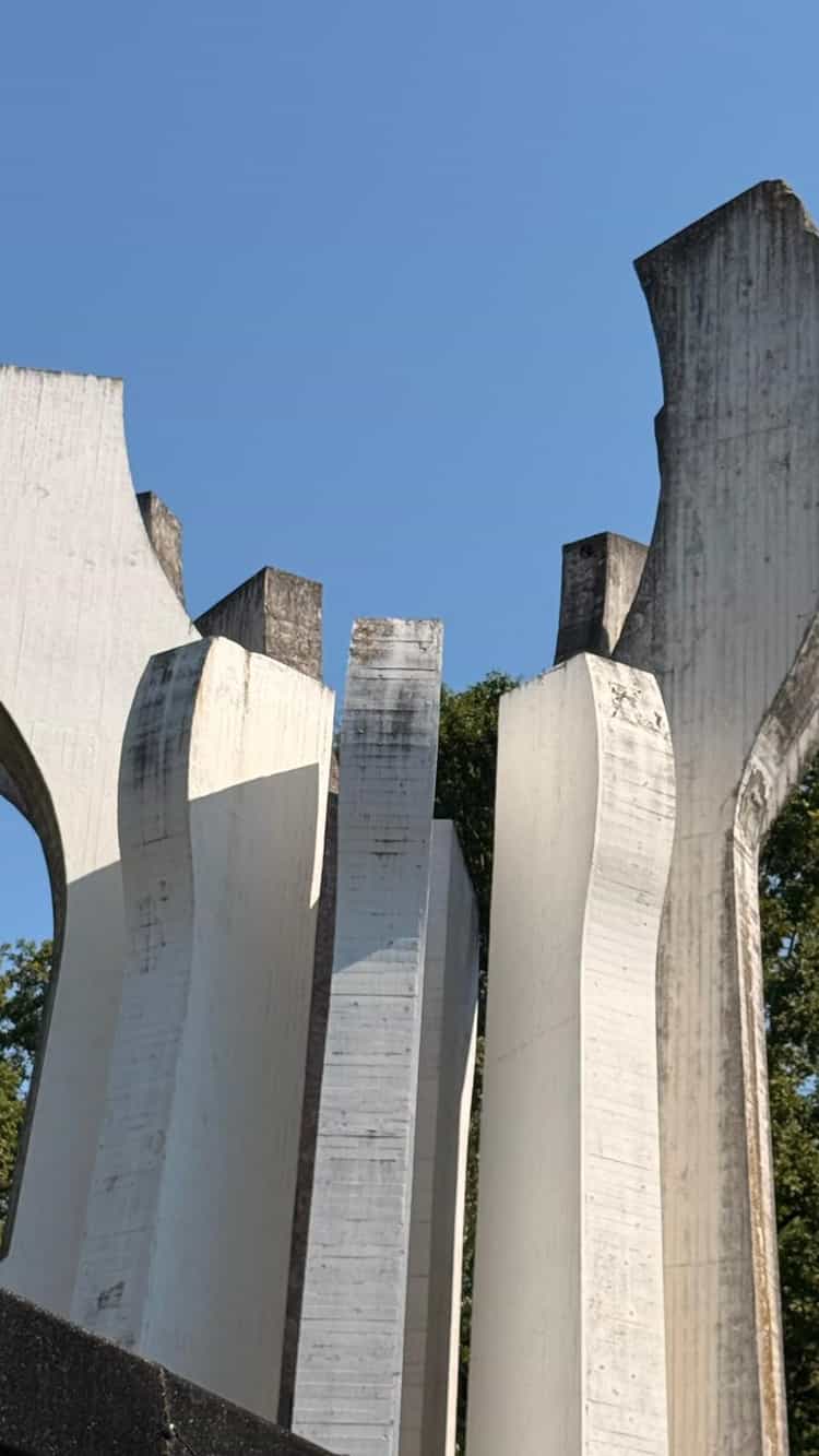 Slika galerije 8